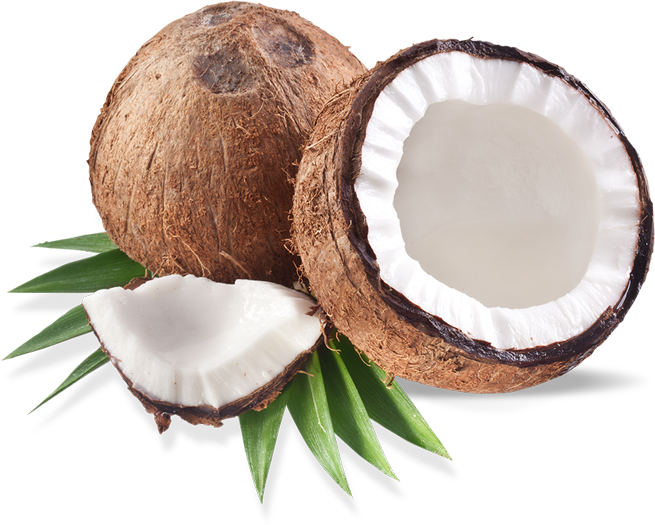 Coconut
